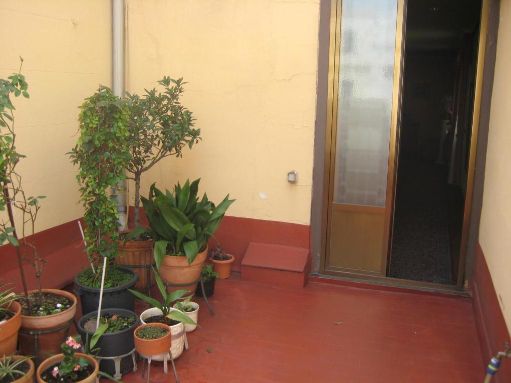 Hostal La Selecta Madrid Exteriér fotografie